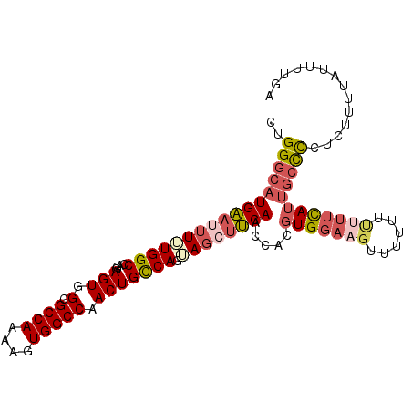 secondary structure