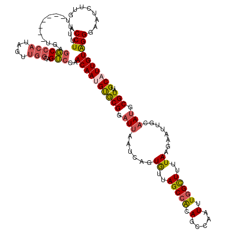 secondary structure