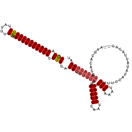 secondary structure