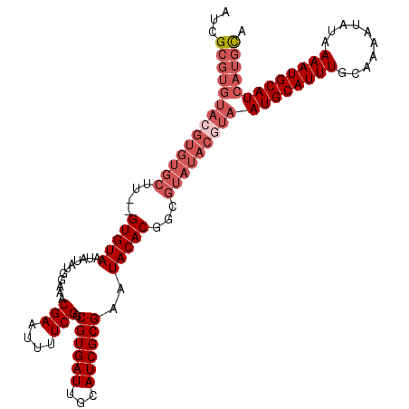 secondary structure