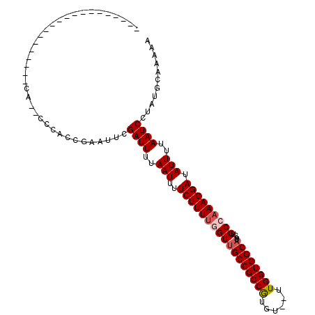 secondary structure