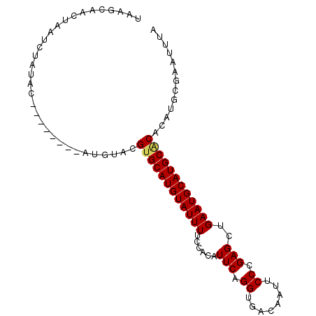 secondary structure