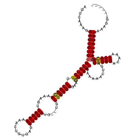 secondary structure