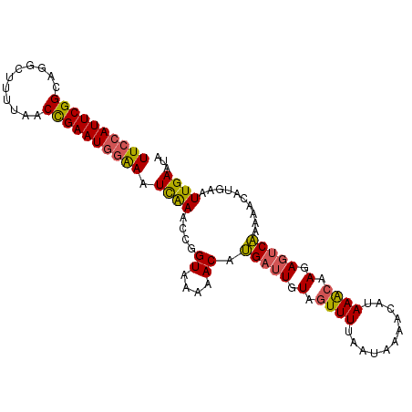 secondary structure