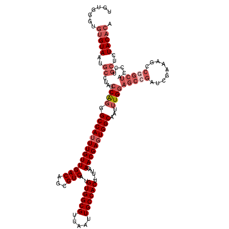secondary structure