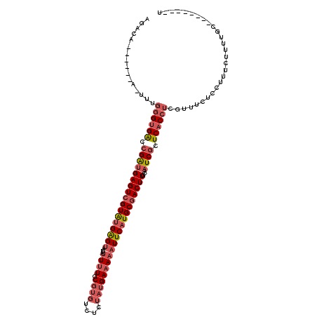 secondary structure