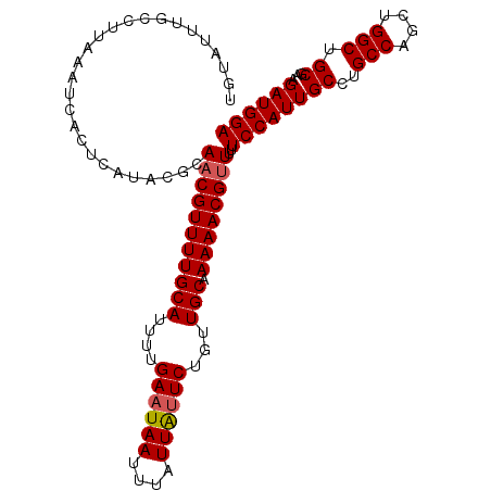 secondary structure