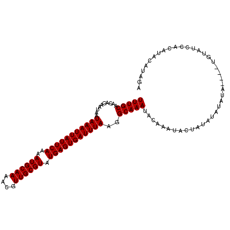secondary structure