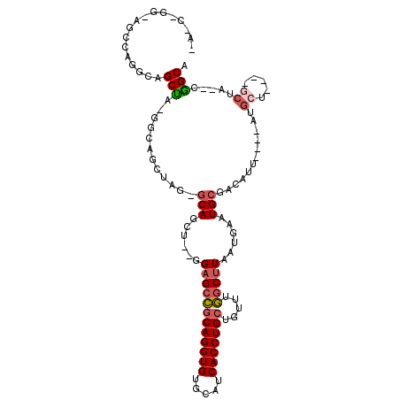 secondary structure