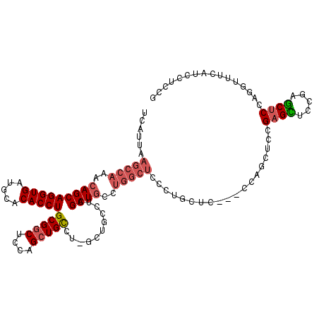 secondary structure