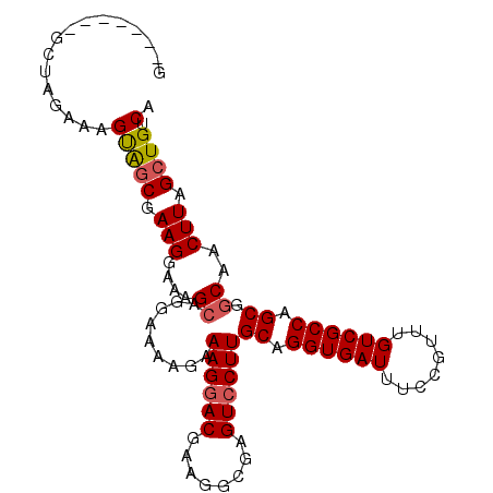 secondary structure