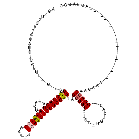secondary structure