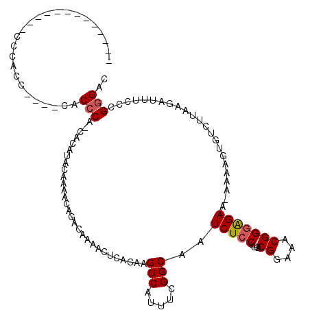 secondary structure