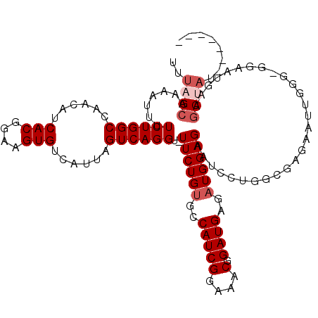 secondary structure