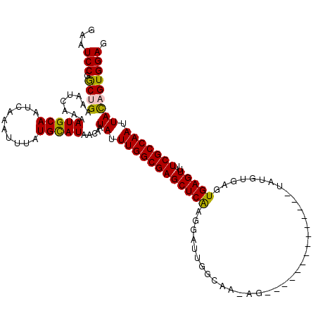 secondary structure