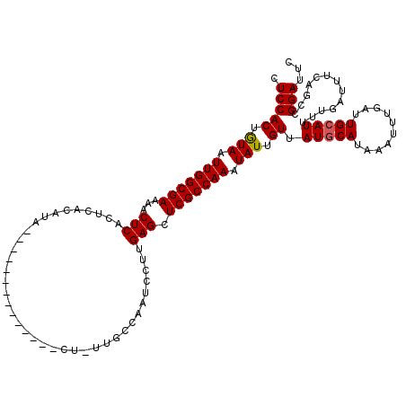 secondary structure