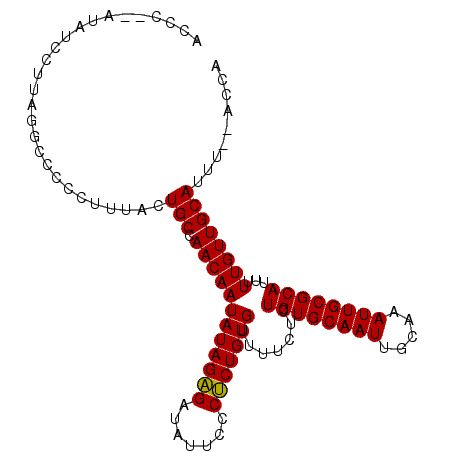 secondary structure