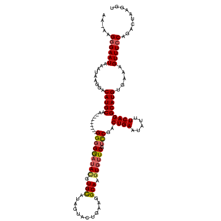 secondary structure