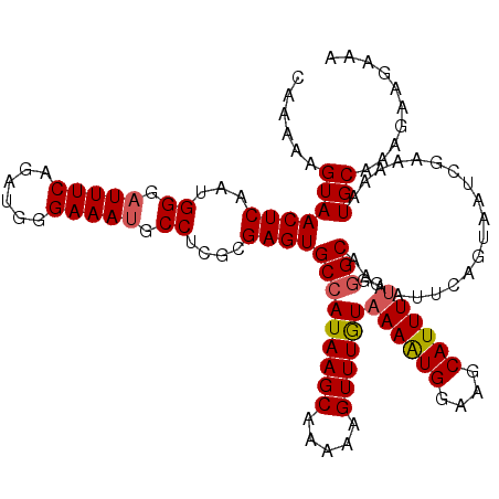 secondary structure