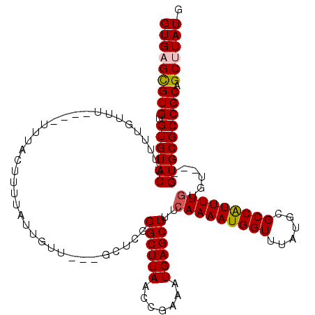 secondary structure