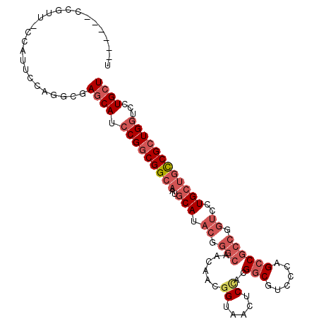 secondary structure