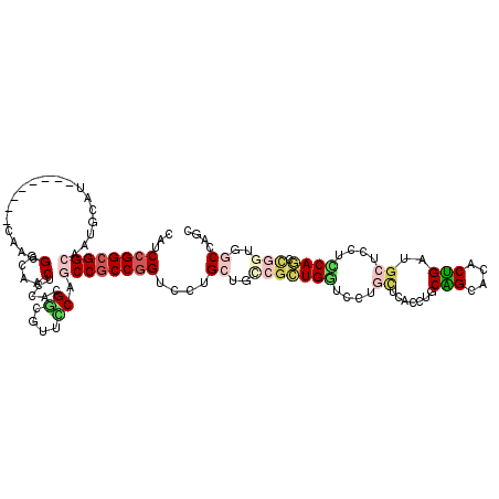 secondary structure