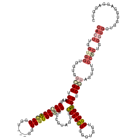 secondary structure