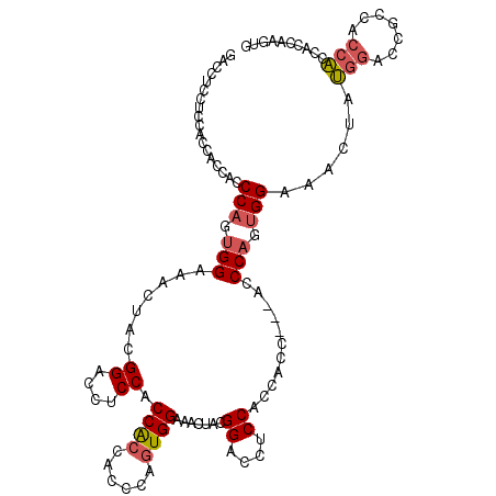 secondary structure