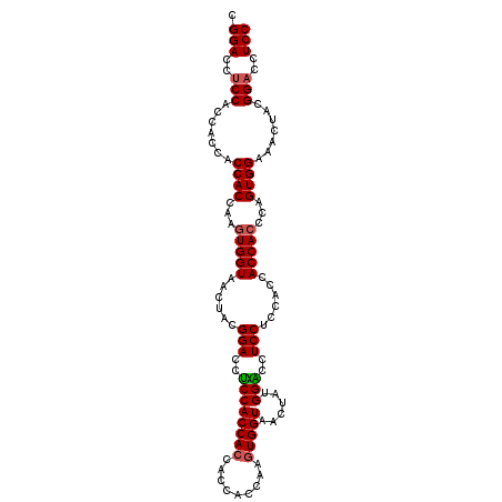 secondary structure