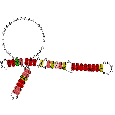 secondary structure