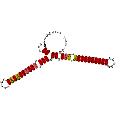 secondary structure