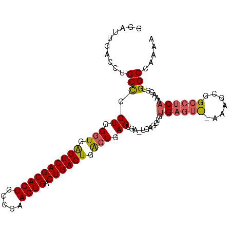secondary structure