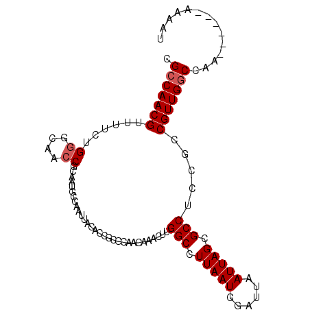 secondary structure