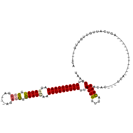 secondary structure