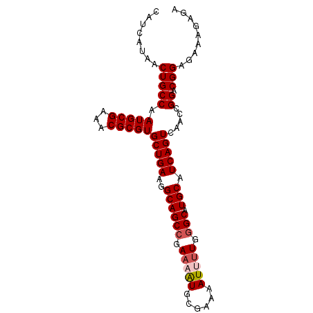 secondary structure