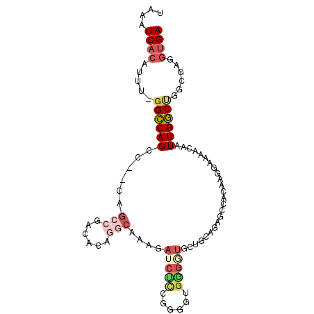 secondary structure