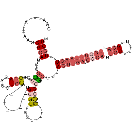 secondary structure