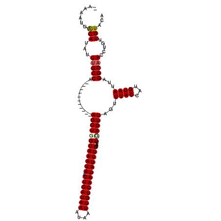 secondary structure