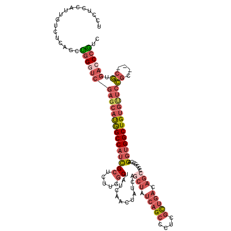 secondary structure