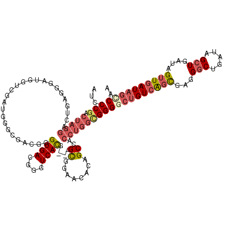 secondary structure