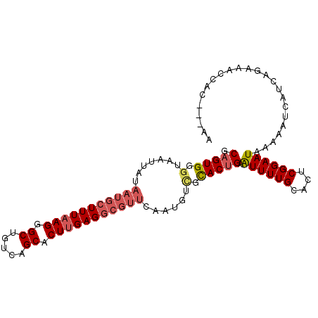 secondary structure