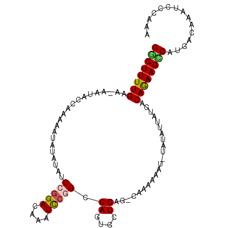 secondary structure