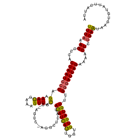 secondary structure