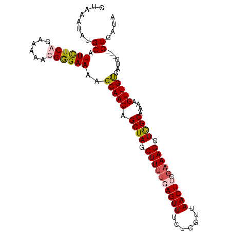 secondary structure