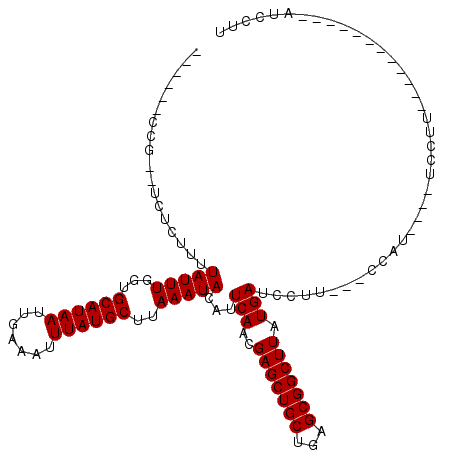 secondary structure