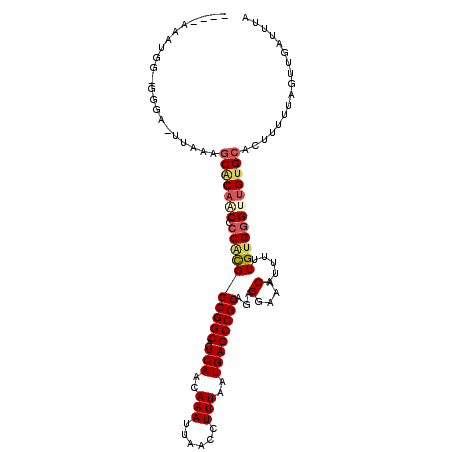 secondary structure
