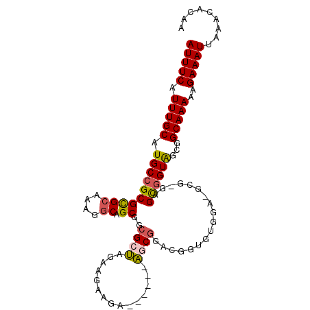 secondary structure