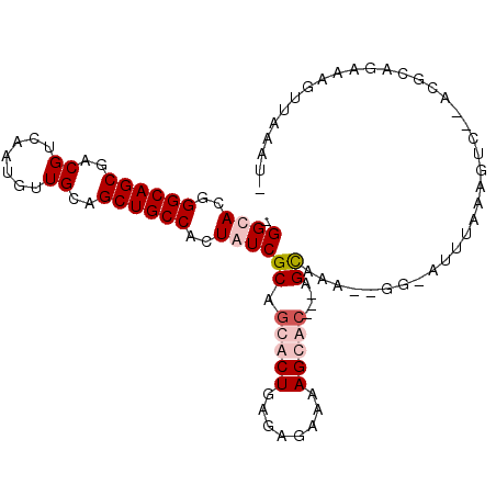 secondary structure