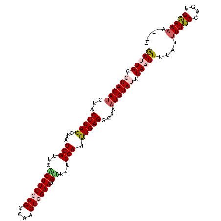 secondary structure