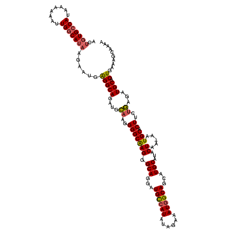 secondary structure